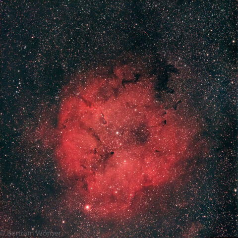 IC1396 - Bertram Wörner IC1396 - Bertram Wörner