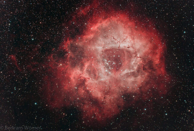 NGC-2244 - Bertram Wörner NGC-2244 - Bertram Wörner