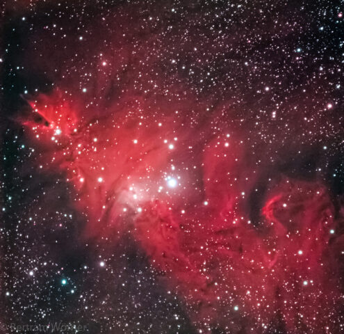 NGC_2264 - Bertram Wörner NGC_2264 - Bertram Wörner