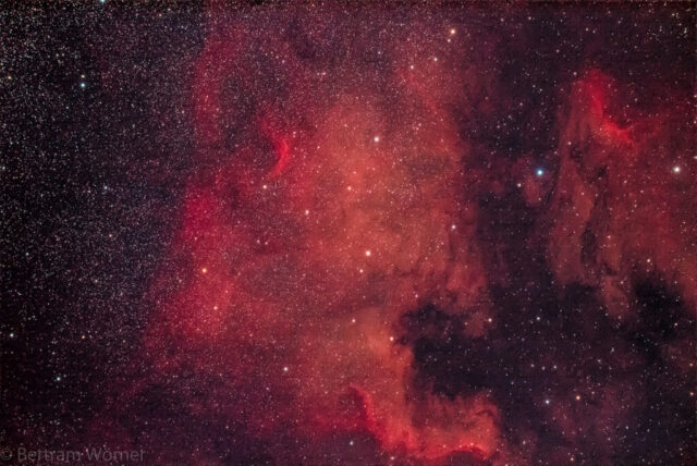 NGC_7000 - Bertram Wörner NGC_7000 - Bertram Wörner